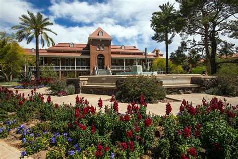 More Burglaries Fewer Alcohol Violations At University Of Arizona In