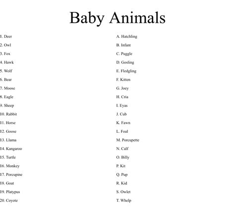 Do You Know Your Baby Animals Worksheet Wordmint