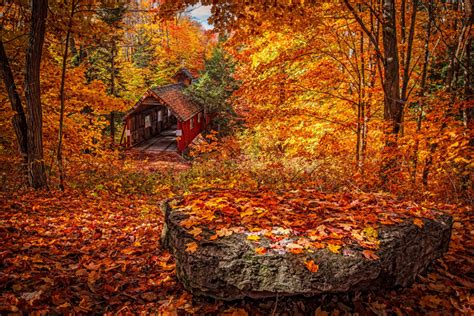 the 11 best places to see michigan s fall colors near ann arbor reinhart reinhart