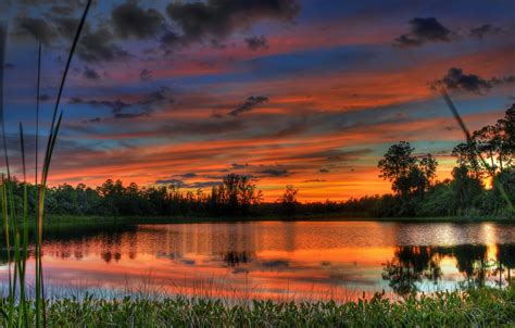 Wallpaper The Sky Water Clouds Trees Landscape Sunset Nature