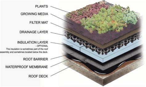 The Living Roof Series Extensive Green Roofs — Rooferscoffeeshop