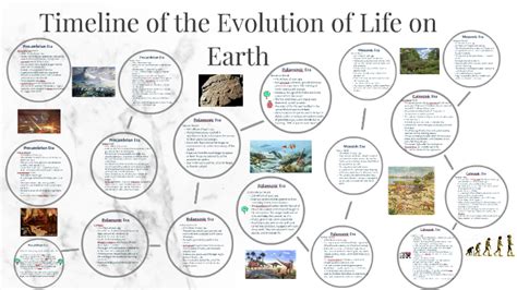 Timeline Of The Evolution Of Life On Earth By Tiana Anica Bebek On Prezi