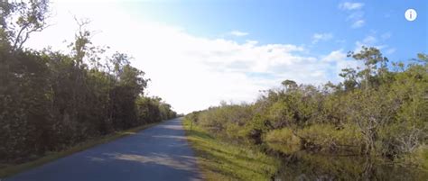 Shark Valley Everglades National Park Florida Welcome Exploring Places