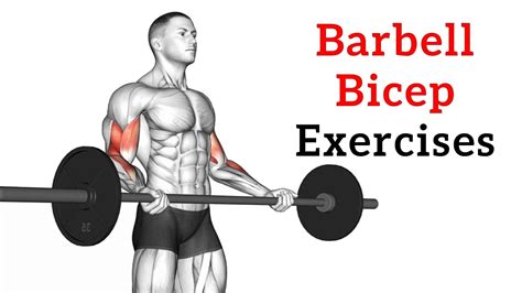 Barbell Bicep Exercises And Workout For Mass And Strength