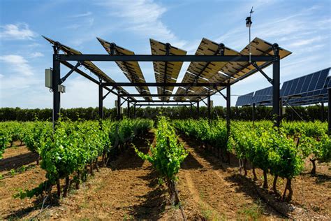 Do You Know The Benefits Of Photovoltaic Agricultural Greenhouse