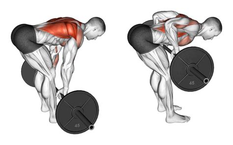 Dumbbell Rear Delt Row Benefits Muscles Worked And More Inspire Us