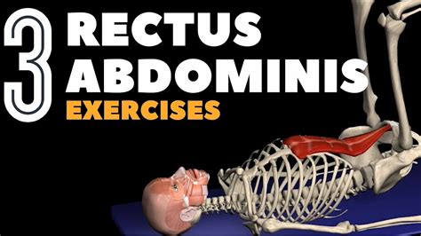 Target Your Rectus Abdominis With Ab Exercises YouTube