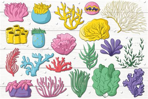 Coral Reef By Clipick On Creativemarket Coral Drawing Coral Reef