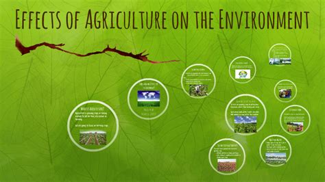💐 How Agriculture Affects The Environment Agriculture And The