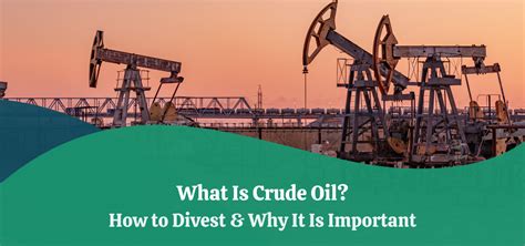 What Is Crude Oil How To Divest And Why It Is Important