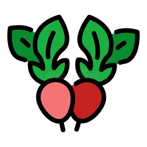 Radish Icon Color Outline Vector Stock Vector Illustration Of Flat