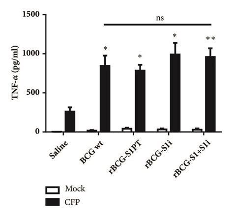 A Bivalent Recombinant Mycobacterium Bovis Bcg Expressing The S1 Subunit Of The Pertussis Toxin