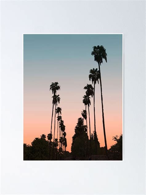 California Sunset Picture Of Palm Tree Silhouette In The Street