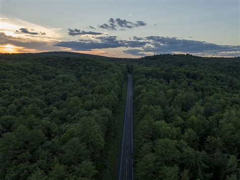 Hd Wallpaper Aerial Photography Of Road Between Trees During Golden