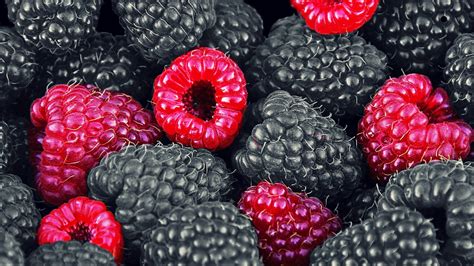 Download Wallpaper Blackberries And Raspberries 1920x1080