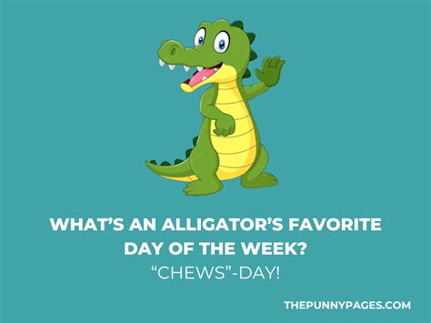 100 Funny Alligator Jokes And Puns