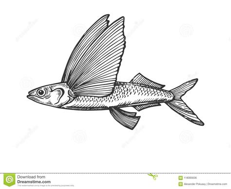Download 192 Fish Flying Fish Coloring Pages Png Pdf File