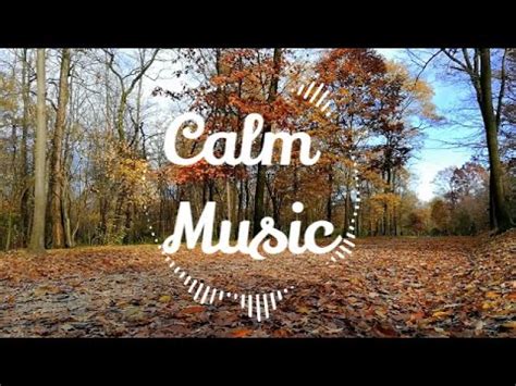 You can easily download for free millions of videos from internet. Relaxing Music, Mp3 Juice, Tubidy, Mp3 to YouTube, Calm ...