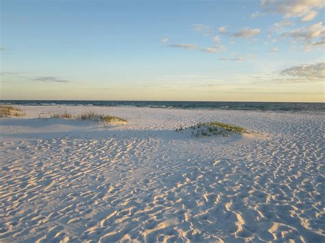 Tumbleweeds Gulf Islands National Seashore Pensacola Beach