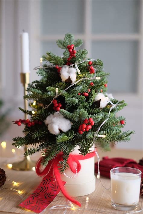 30 Small Christmas Trees Ideas To Decorate Your Home With Coz