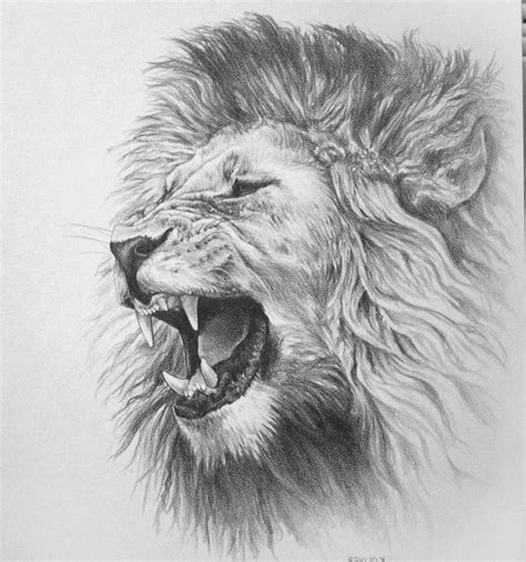 Pencil Drawing Lion Face Pencildrawing2019