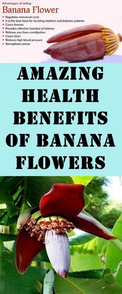 Amazing Health Benefits Of Banana Flowers Banana Health Benefits Banana Healthy Banana Benefits