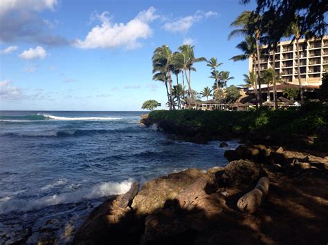 Turtle Bay Resort. Oahu, Hawaii | Turtle bay resort, Oahu, Vacation spots