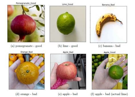 Slicing Through The Confusion Between Good And Bad Fruit An Application Of Convolutional