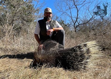 January 25 2022 Trophy African Porcupine Hunting — Texas Hunt Lodge