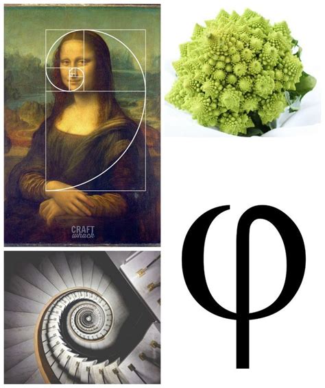 All About The Golden Ratio In Nature Art Photography Architecture