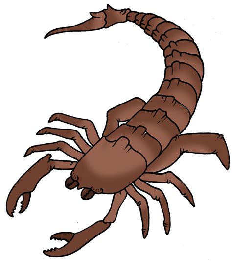 Scorpion Clip Art Clipart Best