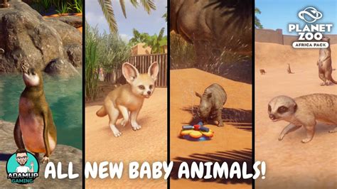 Planet Zoo Africa Dlc All Baby Animals Showcase Youtube