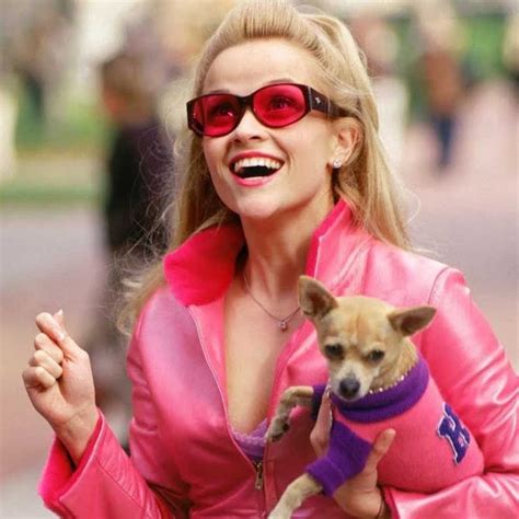 Legally Blonde 3 Cast Plot Trailer Release Date And Everything You
