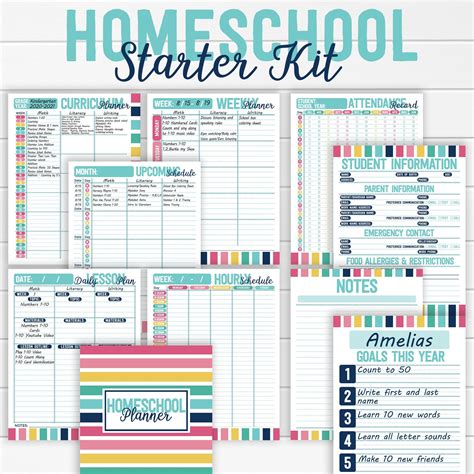 Homeschool Curriculum And Daily Lesson Planner Organizer Etsy