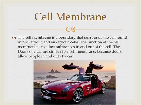 An engine is like a mitochondria, because it releases energy from fuel to power the cars activities, and the mitochondria powers the cell. PPT - Cell to Car Analogy PowerPoint Presentation, free ...