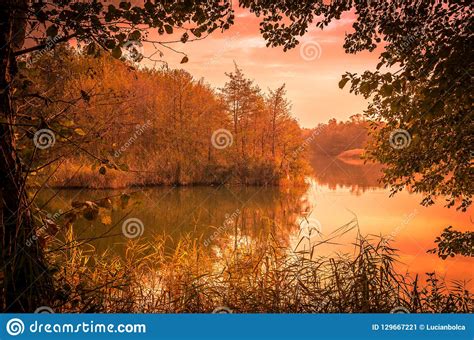 Sunset Over A River Delta In Fall Stock Image Image Of Plant Evening