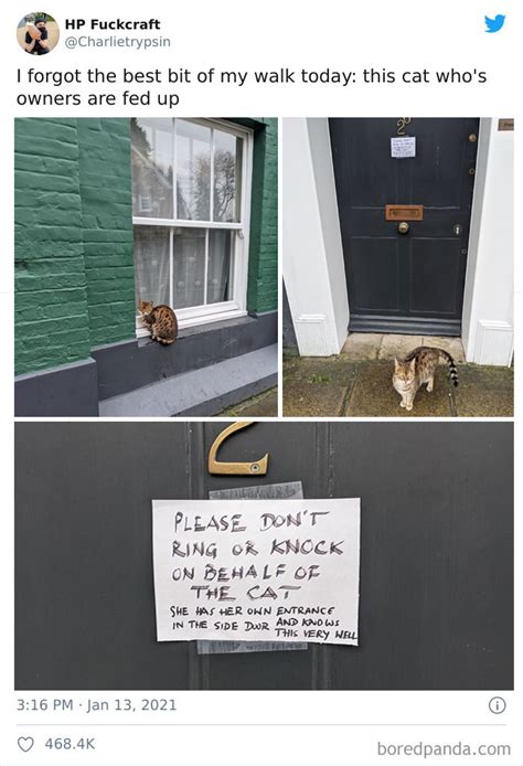 Cats Acted So Audacious That Their Owners Put Up A Sign To Warn Others