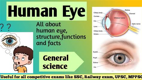 Human Eyestructurefunctionsall Competitive Exams Youtube