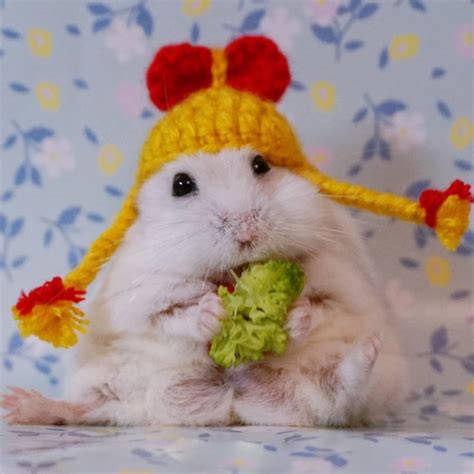 Pet Supplies Hamster Hat Mini Pets Hat For Mouse Mice Hamster Winter