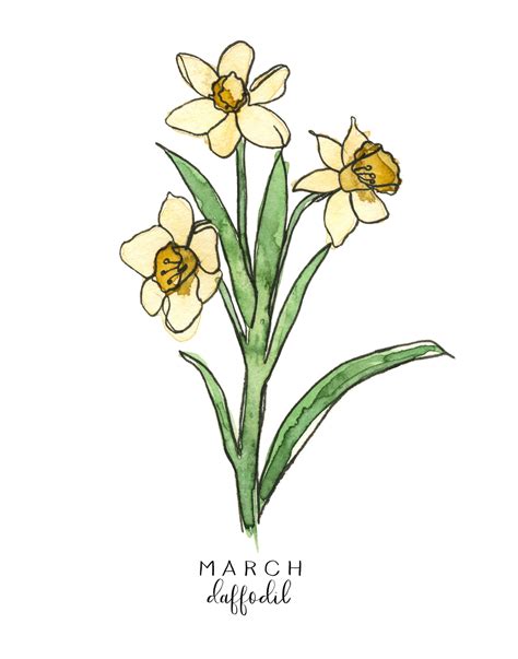 March Birth Flower Print Daffodil Painting March Birth Month Etsy