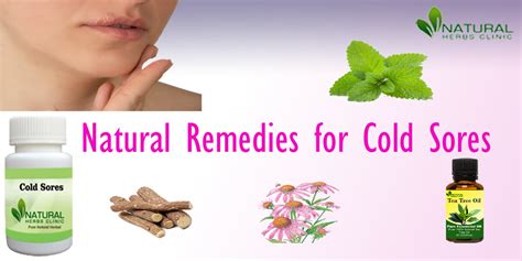 Cold Sores Natural Remedies And Treatment Strategies
