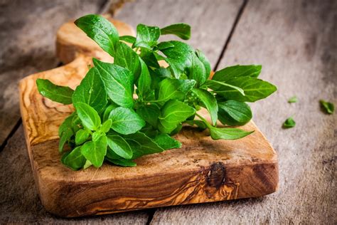 Meaning of mean in english. Basil Meaning in urdu | meaning in english Basil kfoods.com