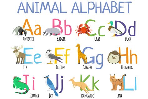 Animal Kindergarten Zoo Alphabet Font Creative Market