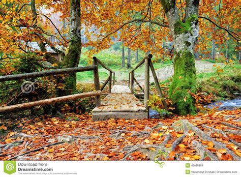 Bridge In The Autumn Forest Stock Photo Image Of Peaceful Pond 46058864