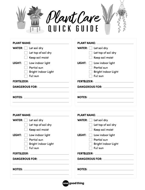 Plant Care Quick Guide Free Houseplant Care Chart Printable