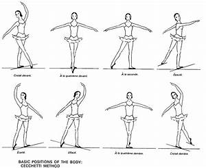 8 Ballet Body Ballett Ballett Lernen Ballett Begriffe