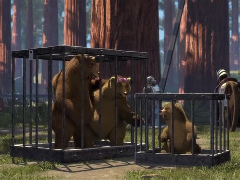 Are These 3 Bears Separate Characters Or Will This Remain A Plot Hole