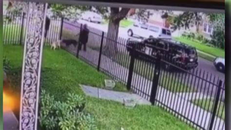 Video Of Detroit Police Officer Fatally Shooting Dog Through Fence Goes