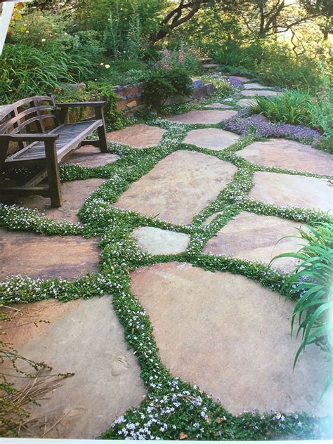 Front Patio To Be Planted Between Flagstones Diy Stone Walkway