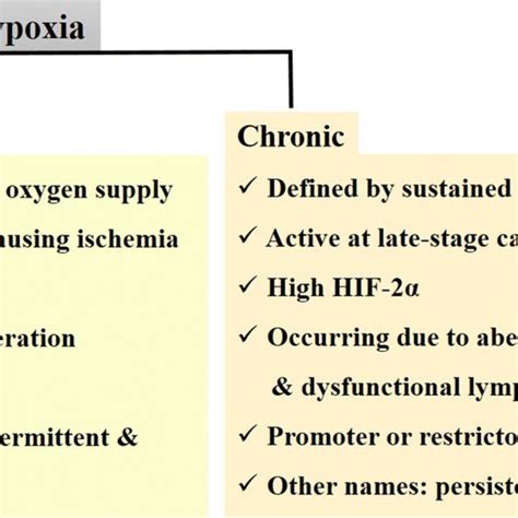 Types Of Hypoxia Hypoxia Is Classified Into Acute And Chronic Phases